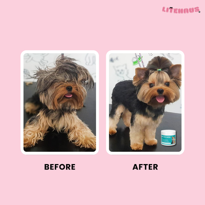 Pet Eye Cleaning Wipes – Tear Stain Remover for Cats & Dogs