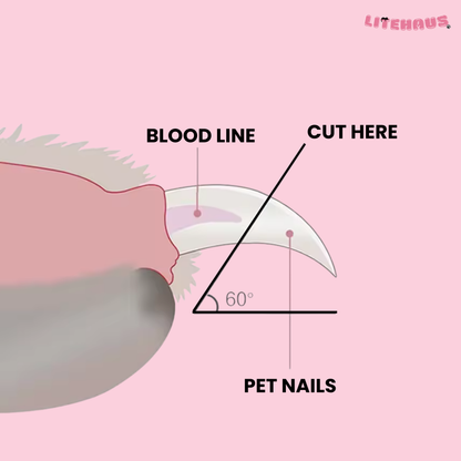 Professional Pet Nail Clippers with LED Light – Safe Paw Trimmer for Dogs & Cats